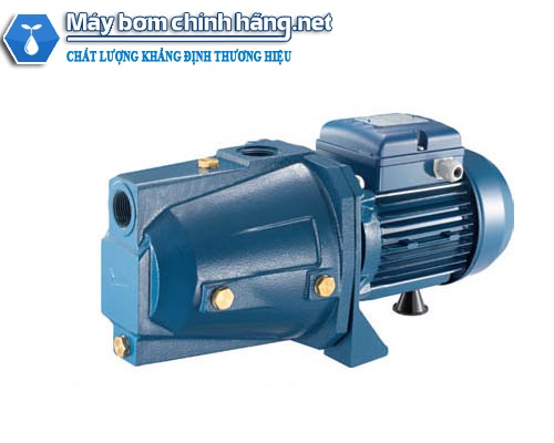 Máy bơm nước đầu lợn Pentax CAM 100 (750w)