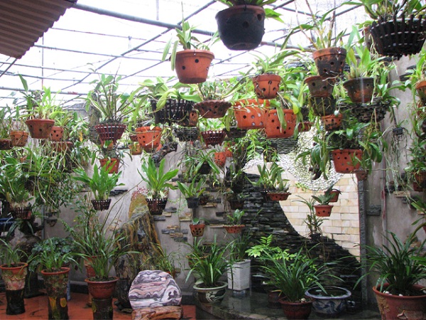 Lắp đặt hệ thống phun sương tạo độ ẩm, làm mát...